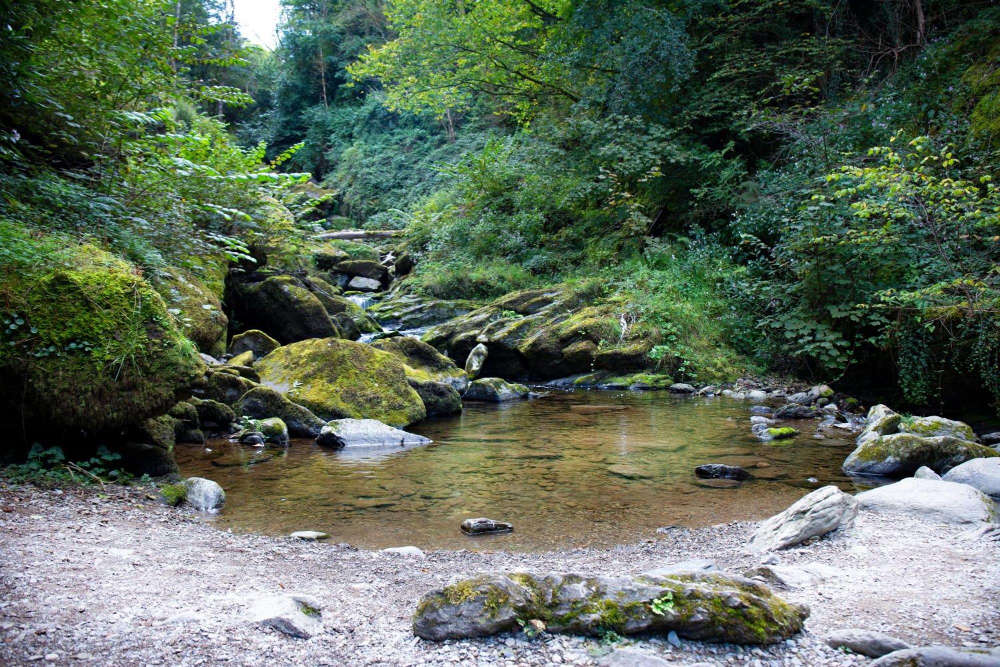 Tors Park Apartment Lynmouth Luaran gambar